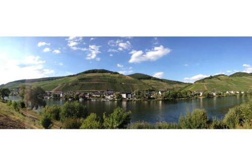 Ferienwohnung am Moselufer - Foto 23