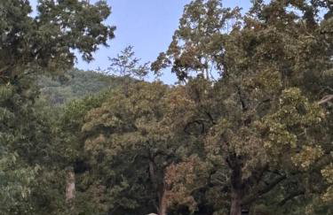 Paw Paw Tree Estate - Foto 2