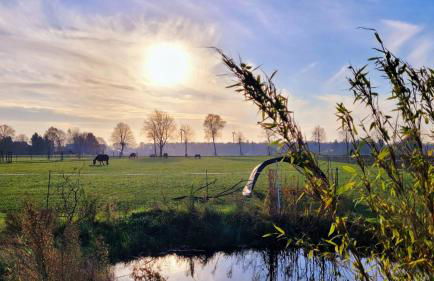 Landhaus Seemann Ferienwohnungen im Grünen - Foto 10