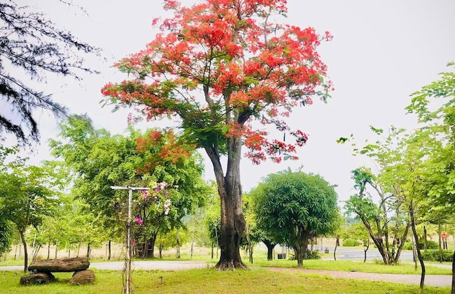 10 Bedroom Apartment 300m From The Sea - Foto 71