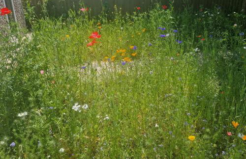 South Coast New Forest Holiday Home-4 Bed-Sleeps 8-Spacious-Parking-EV Dock-Large Garden-Playground-Great for Families-Groups-Professionals - Foto 33