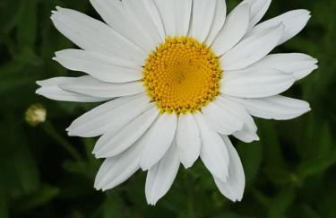 Grizzly Roadhouse Bed and Breakfast - Foto 33