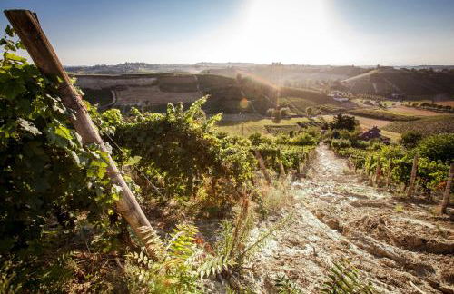 Villa Vinory - La Mandragola - Foto 13