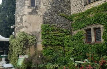 A deux pas d'Avignon - Foto 11