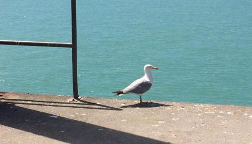 Studio~ Les pieds dans l'eau 2~ - Foto 3