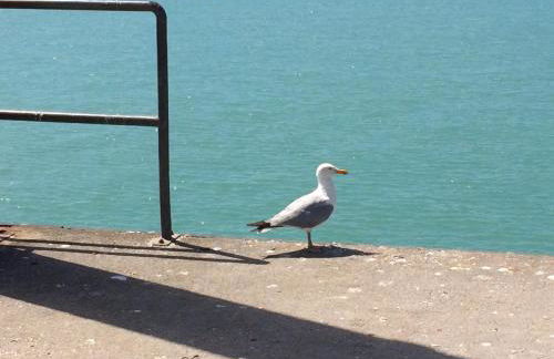 Studio~ Les pieds dans l'eau 2~ - Foto 3