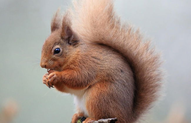 Freshwater - Hot Tub - Pet Friendly - Garden - Foto 19