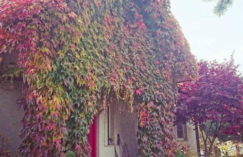 Stasiówka Gospodarstwo Agroturystyczne - Foto 35