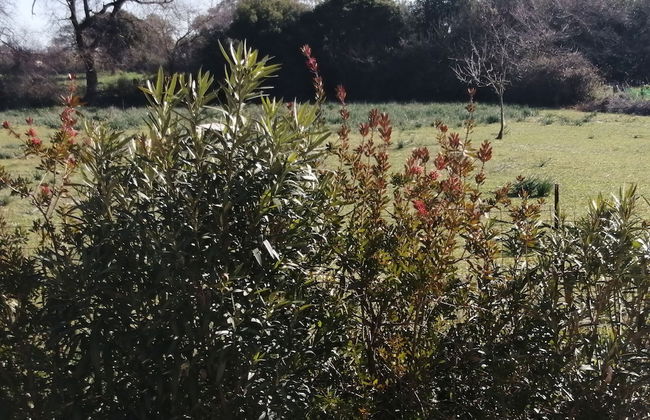 Helen's family home - Photo 45