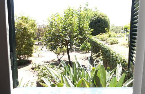 Uvatanta Cottage - Foto 58