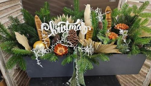 Maison Diderot - Photo 2