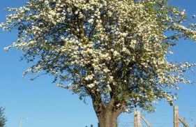 Cascina Longoria - Foto 45