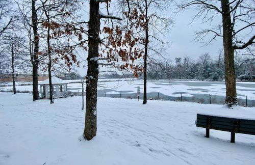 Peaceful Luxury 3 beds*Lake*Kitchen*LaundryMetro - Foto 29