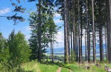 Dom Gościnny Zarembianka - Foto 60