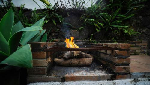 Casa Papaya 2, La Palma - Foto 5, Garden view