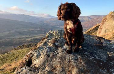 Stony Thwaite - Photo 23