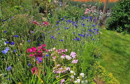 Near Red Rocks, Hiking and Skiing Kittredge Condo! - Foto 22