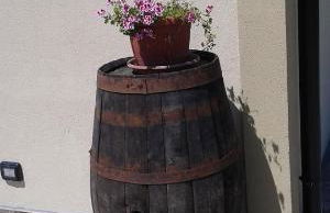 Agriturismo Donna Beatrice - Foto 49