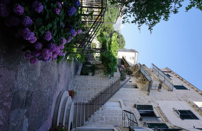 Guesthouse Dragutinovic - Foto 11