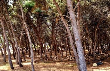 Le case di Pat - Casa Marea - Foto 37