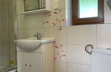 Dudkowe Domki w Beskidach- Relaks z Balią i Apiterapią - Foto 20