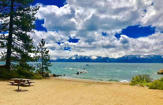 Month A Month Mv19 Willow - Foto 36