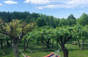 Czytelnia w Sadzie - Foto 22