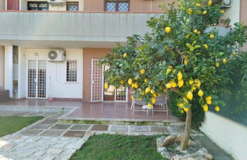 The Residence Il Limone Marino - Foto 15