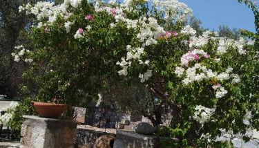 Charouda stone tower xenonas - Foto 4