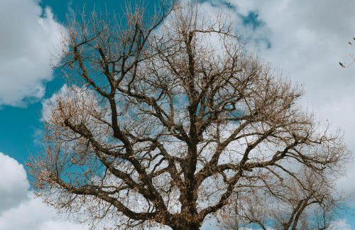 Rara Factory Design House - Foto 66