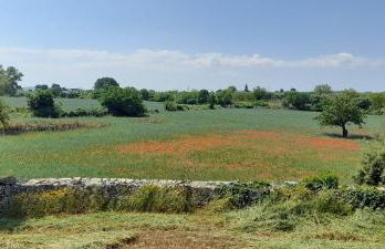 Masseria Ai Pioppi - Foto 49