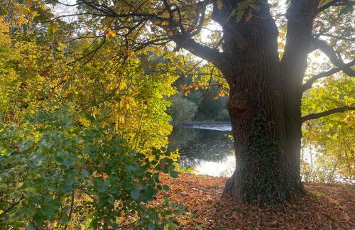 Attraktive 2 Zimmer Wohnung in Toplage, Nähe Messe - Foto 17