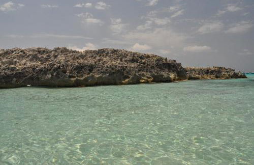 Apartaments S'Estanyol - Foto 69