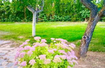 Villa Independente con Piscina Privada - perfecto familia y grupos - Foto 29