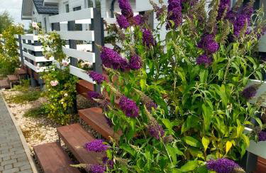 R&R Mielno Domki Letniskowe - Foto 11