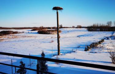 Agroturystyka Bocian Biały - Foto 16