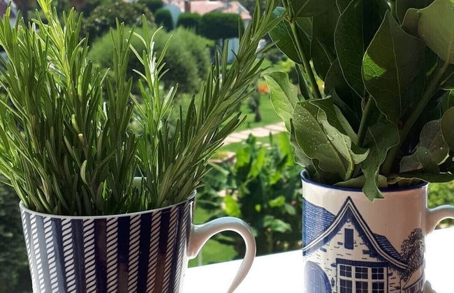 Palamut Ev - Photo 28