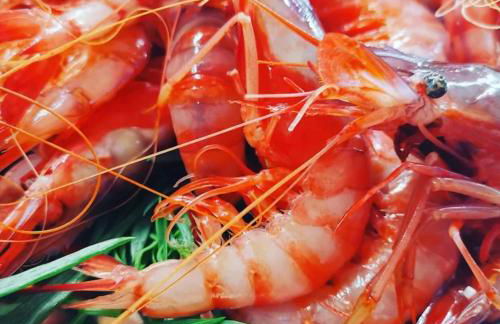 VILLA MIRABELLE , Torresangiovanni Marina di Ugento (LE) - Foto 37