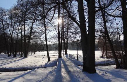 Apartament Parkowy - Foto 26