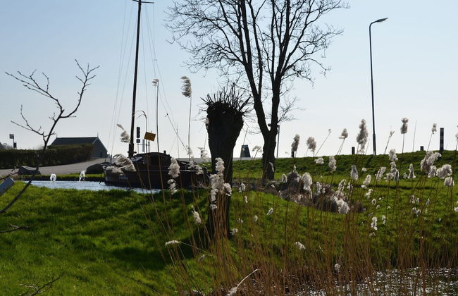 Holiday Home Built in Zaanse Style, Near Alkmaar - Photo 35