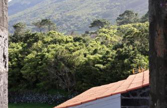 Casas Goulart - Photo 78