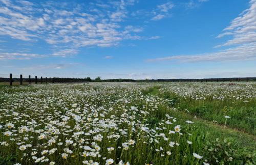 GRETA Nowoczesny domek modułowy nad stawem - Foto 53
