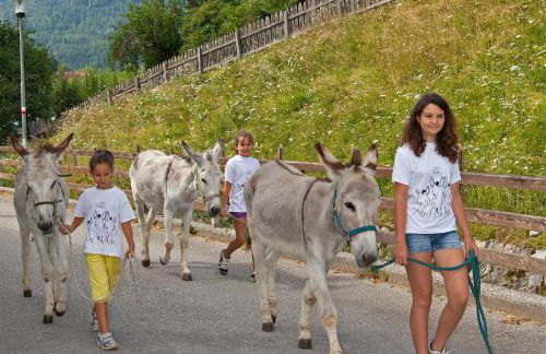 Apartments Ansitz Wildberg - Photo 10