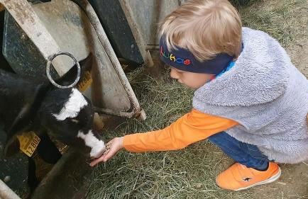 Bauer Haug - Foto 16