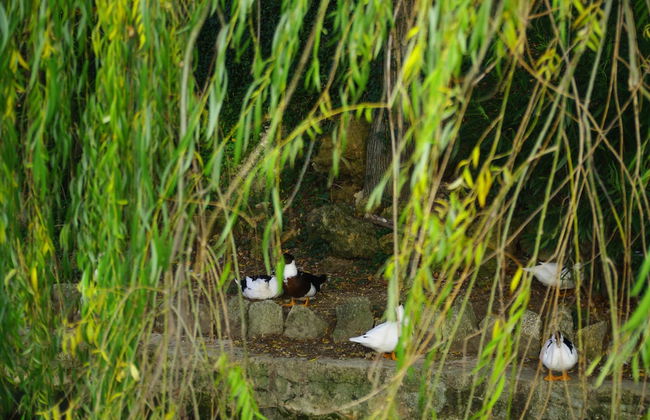 Vivienda Rural Rio Cerezuelo - Photo 38