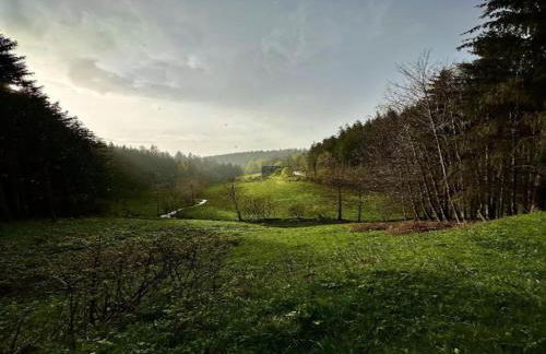 Apartment in Gutenbach With Nearby Forest - Foto 63