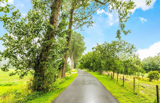 Breskens Haven: Relax, Explore & Dine - Photo 30