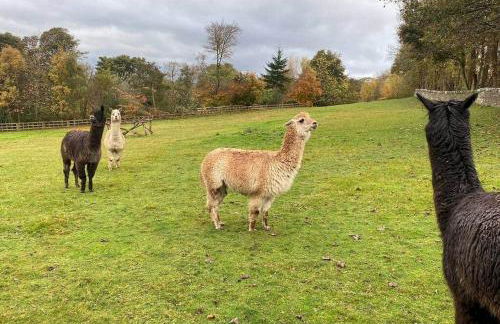 Park View Cottages - The Granary - Foto 18
