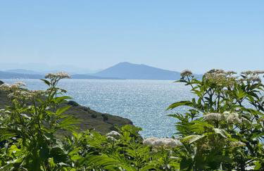 Studio Biarritz Côte des Basques - Foto 19