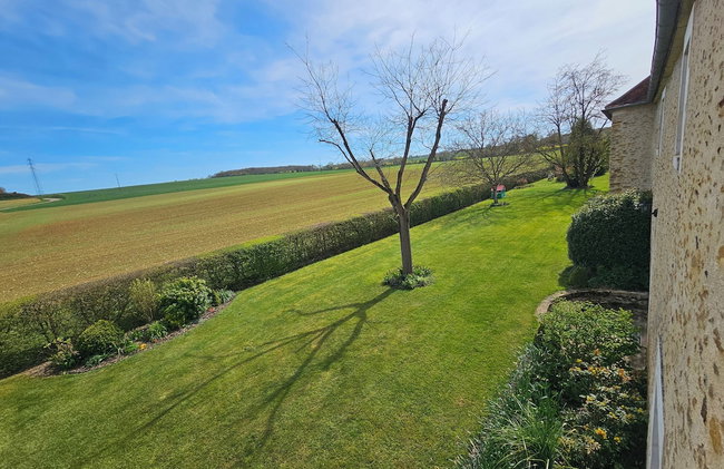 Château de Ribourdin - Photo 30